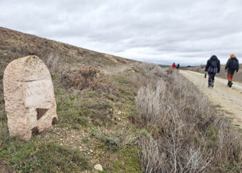 Camino de San Frutos. / EL ADELANTADO