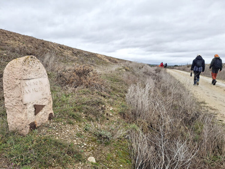'Fuente del Pájaro', un abrigo clave para peregrinos 1 Camino de San Frutos. / EL ADELANTADO