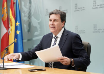 El portavoz de la Junta Carlos Fernández Carriedo. / RUBÉN CACHO -ICAL