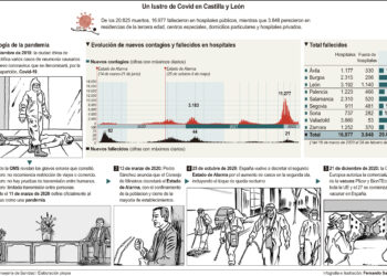 Un lustro de Covid en Castilla y León.