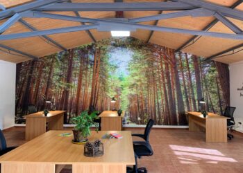 Espacio coworking de Navafría./SEGOVIA SUR