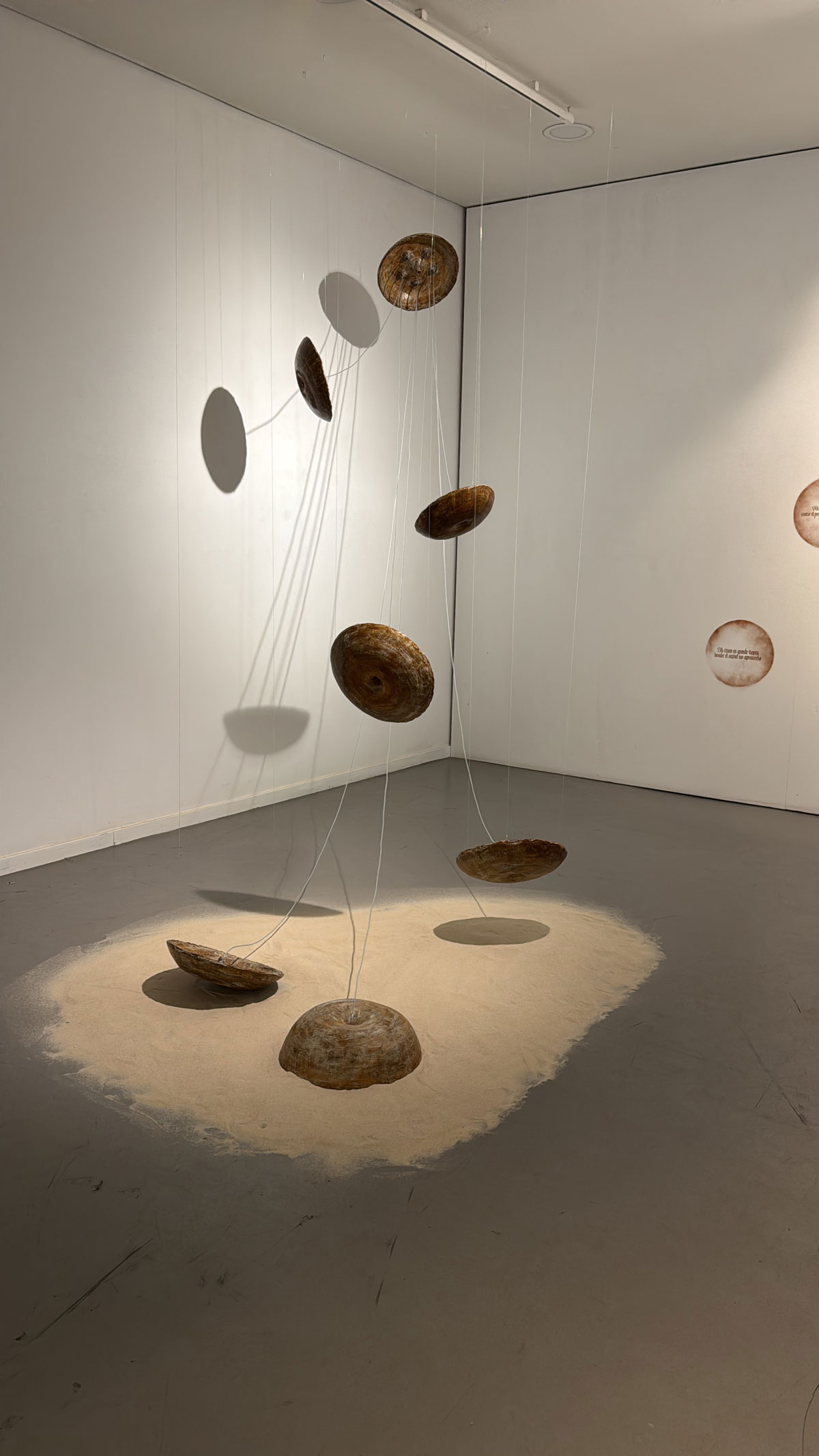 Exposición de Mónica Gómez-Candela en el Palacio de Quintanar.