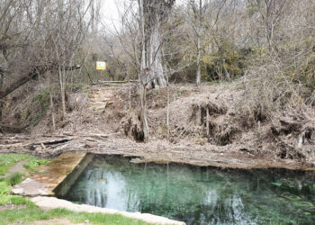 Intervenciones en la Fuente de la Salud, de Sepúlveda. / A.M.