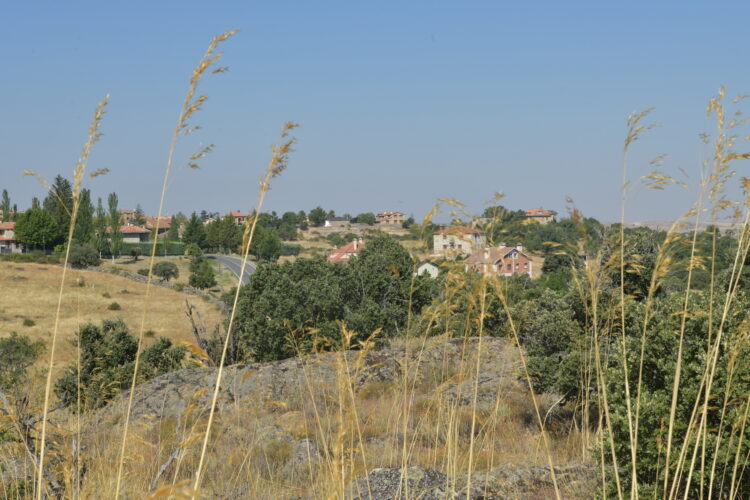 Impulso de las zonas verdes con una jornada de plantación de árboles en La Losa 1 Foto de archivo. Vista de La Losa / E.A.