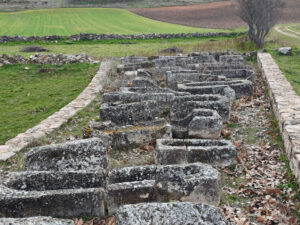 Necrópolis de Duratón.