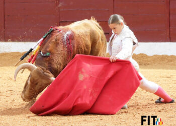 Olga Casado, toreando con la pierna genuflexa en su debut con picadores en Olivenza. / FIT