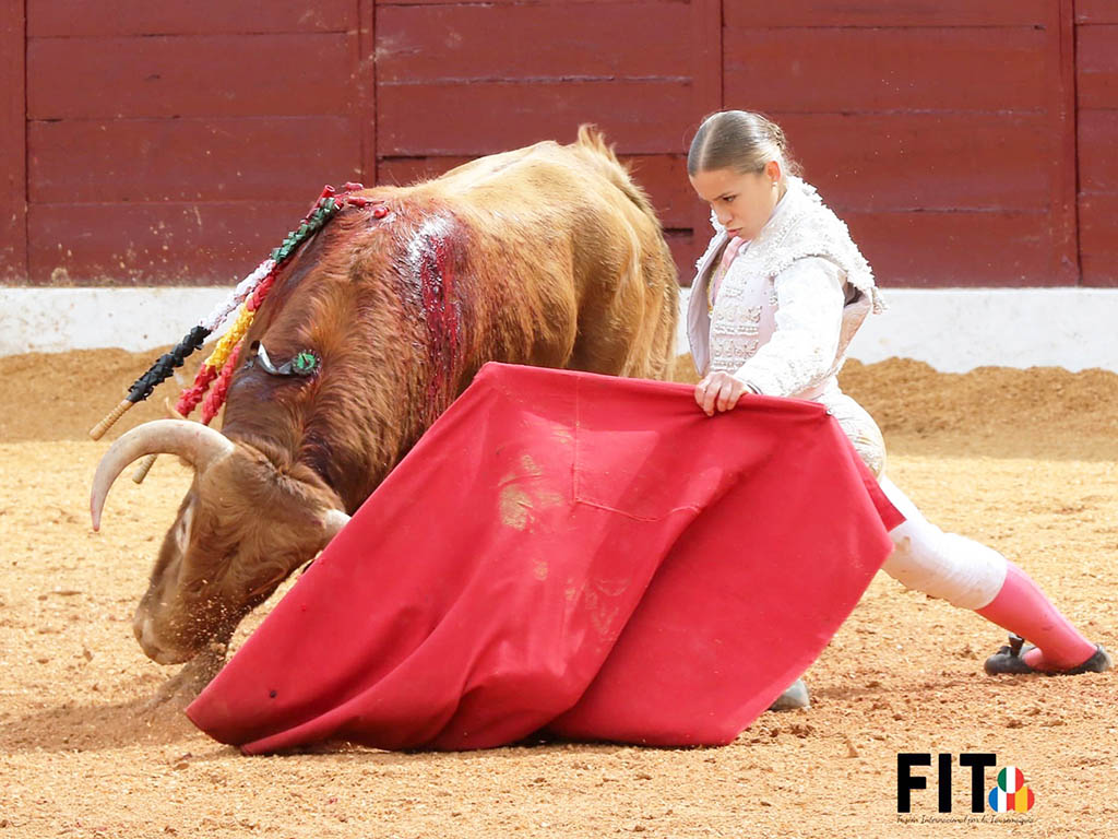 La elegancia de Olga Casado: una oreja en su debut con picadores 3 Olga Casado, toreando con la pierna genuflexa en su debut con picadores en Olivenza. / FIT
