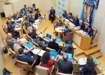 Pleno del Ayuntamiento de Segovia. / HÉCTOR CRIADO