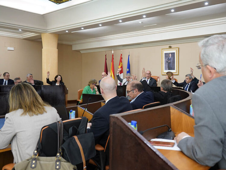 Votación en el Pleno de la Diputación de Segovia, correspondiente al mes de marzo. / DIPUTACIÓN