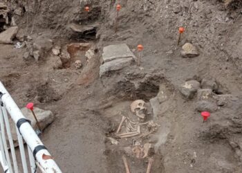 Vista de los hallazgos / EL PREGONERO DE SEPÚLVEDA