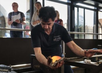 Instantes de la visita / DIPUTACIÓN DE SEGOVIA