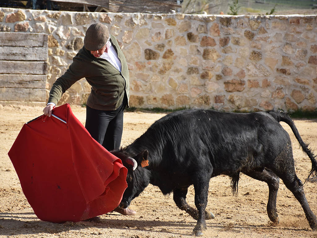 Emilio de Frutos, 25 años de alternativa y una vida entregada al toro 4 Emilio de Frutos preparando el festival de Mozoncillo. / A.M.