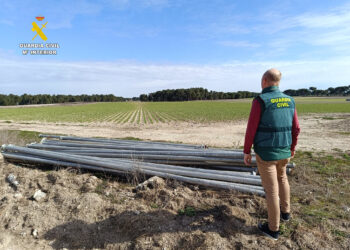 El material incautado por la Guardia Civil.