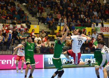 Alexander Tioumentsev busca el lanzamiento durante el duelo entre Viveros Herol y Anaitasuna./AMADOR MARUGÁN