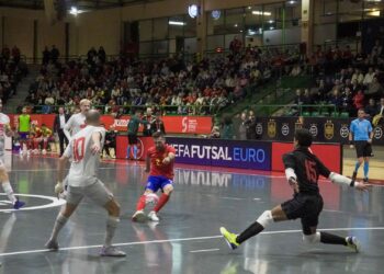 Pani busca el lanzamiento durante un instante del encuentro entre España y Suiza celebrado en el Pedro Delgado./HÉCTOR CRIADO