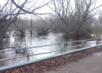 Río Eresma a su paso por Hontanares. / DIPUTACIÓN