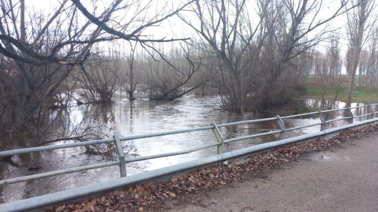 Río Eresma a su paso por Hontanares. / DIPUTACIÓN