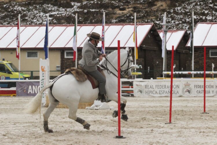 El jinete portugués Gilberto Filipe Silva durante un ejercicio./FHCYL