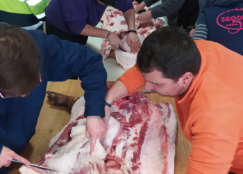 XI Matanza Popular a la antigua usanza en Tabanera la Luenga / E.A.