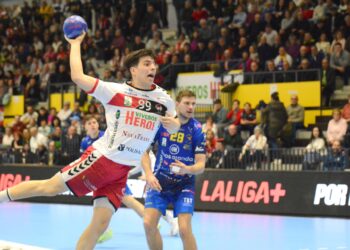 Pablo Herranz busca el lanzamiento en el duelo entre Viveros Herol Nava y Tubos de Aranda./AMADOR MARUGÁN