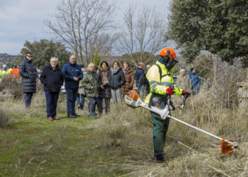 La consejera de Industria, Comercio y Empleo, Leticia García, presenta los trabajos forestales del Programa Montel / NACHO VALVERDE - ICAL