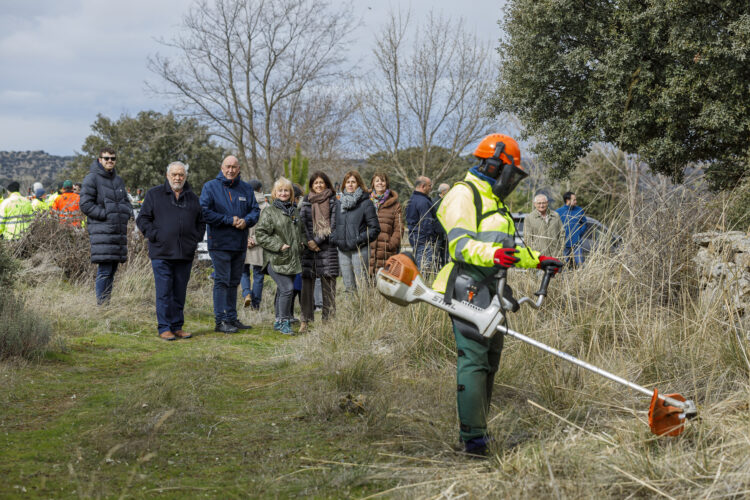 La Junta destina 648.000 euros para más de medio centenar de contratos para trabajos forestales en Segovia 1 La consejera de Industria, Comercio y Empleo, Leticia García, presenta los trabajos forestales del Programa Montel / NACHO VALVERDE - ICAL