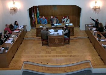 Instantes del último pleno celebrado en El Espinar / AYTO. EL ESPINAR