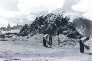 Tres campesinos preparan la era para la trilla.