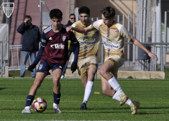 Un jugador de la Segoviana con la pelota en un duelo ante el Palencia./JUAN MARTÍN-G.SEGOVIANA