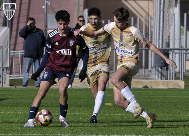 Un jugador de la Segoviana con la pelota en un duelo ante el Palencia./JUAN MARTÍN-G.SEGOVIANA