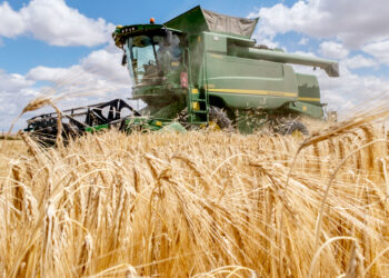 Los productos hortofrutícolas y agroalimentarios están entre los que más exporta Segovia a Estados Unidos.