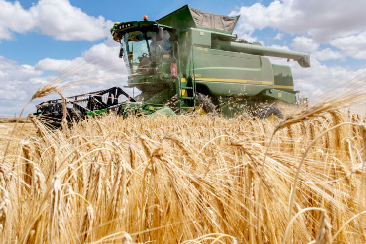 Las empresas segovianas se preparan para las posibles consecuencias de la subida de aranceles en EEUU 1 Los productos hortofrutícolas y agroalimentarios están entre los que más exporta Segovia a Estados Unidos.