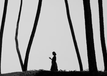 El Palacio Quintanar acogerá la exposición del polaco Marcin Ryczek entre el 12 de junio y el 31 de agosto.