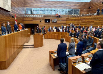 Las Cortes inician el Pleno con un minuto de silencio en memoria de los mineros muertos. / Leticia Pérez