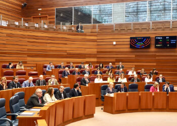 Segunda sesión de Pleno en las Cortes. / Miriam Chacón