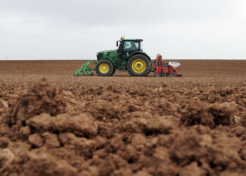 Según Agricultura, el objetivo de la ampliación es evitar penalizaciones por retraso. / Rubén Cacho
