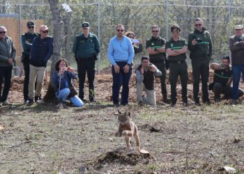 Suelta de Bouba y Valeriana. / Brágimo