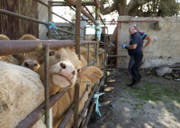 Una vez aprobado el Decreto de retribuciones, la medida quedaría vigente con carácter retroactivo. / Jesús Formigo
