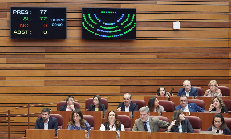 Segunda sesión del primer pleno de abril en las Cortes. / Rubén Cacho