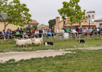 Feria en ediciones pasadas / E.A.
