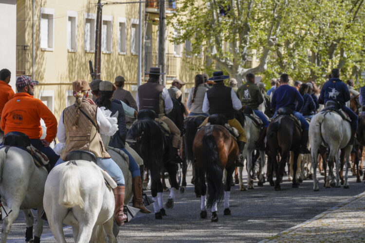 Actuaciones musicales, danza y caballos para celebrar la Feria de Abril en El Espinar 1 Edición anterior de la Feria de Abril / E.A.
