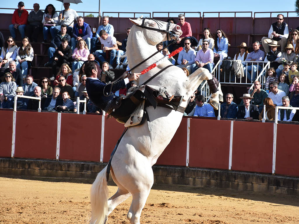 La torería de Jarocho y el variado concepto de Jorge Oliva sobresalen en el festival de Mozoncillo 2 Andy Cartagena, en Mozoncillo. / A.M.
