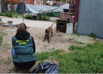 El dueño del can está siendo investigado por un delito de lesiones y otro de maltrato animal.