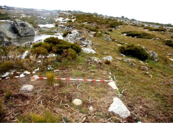 Aspecto que presenta el Complejo Arqueológico de cabezo Renales (CAR) de El Espinar.