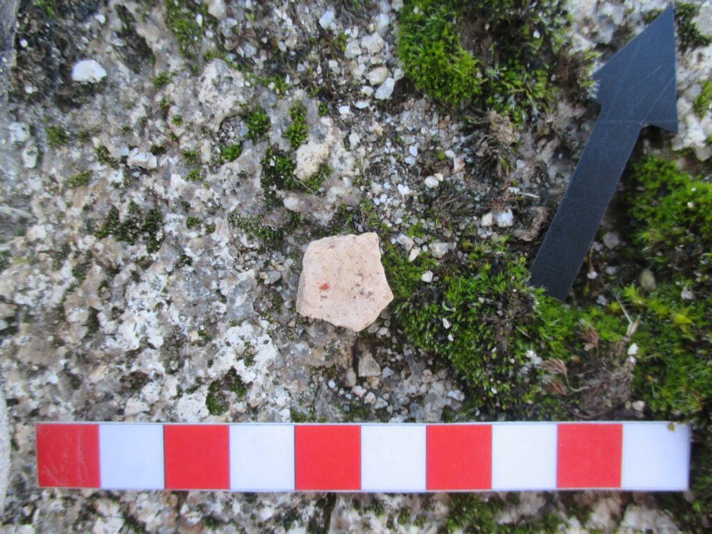 Evidencias halladas en el yacimiento.