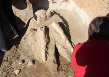 Los restos fueron descubiertos por un ciudadano por uno de los senderos de bicicletas.