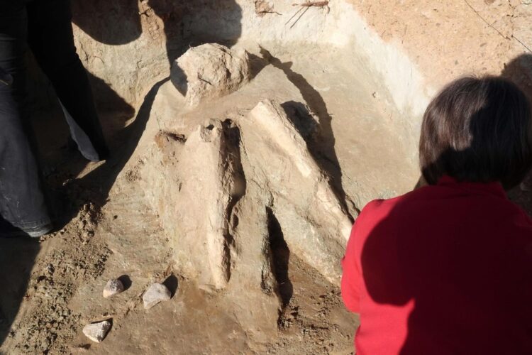 Los restos fueron descubiertos por un ciudadano por uno de los senderos de bicicletas.