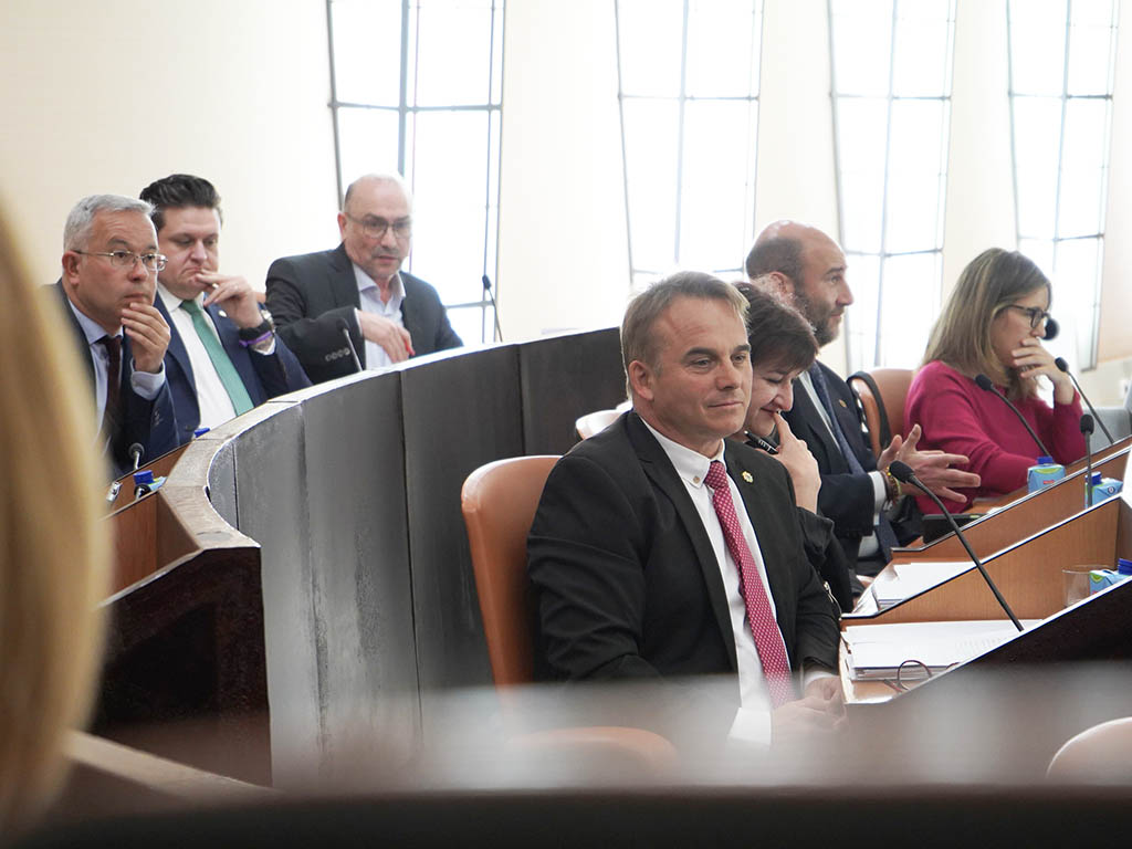 Los diputados no adscritos, David Gutiérrez y José Antonio Mateo, detrás de la bancada socialista, tras el cambio de ubicación. / DIPUTACIÓN