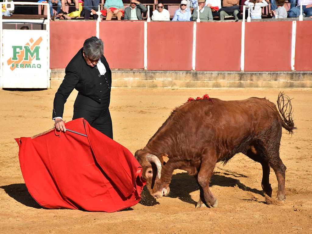 La torería de Jarocho y el variado concepto de Jorge Oliva sobresalen en el festival de Mozoncillo 4 Emilio de Frutos Mozoncillo