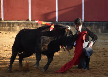 Inicio de la faena de muleta de Roberto Martín ‘Jarocho’ en Mozoncillo. / A.M.